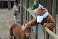 Ponyworkshop Walderlebniswelt